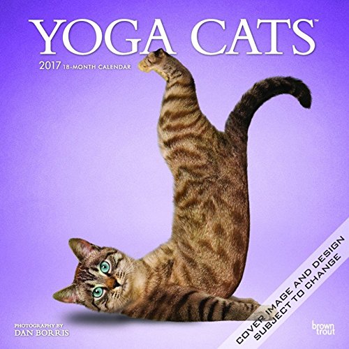 Give the gift of laughter with this yoga cat calendar