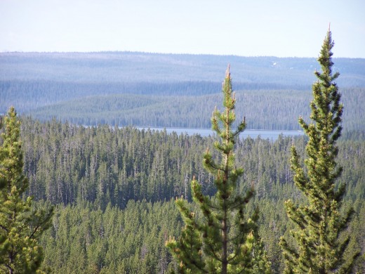 Approaching the Cascades