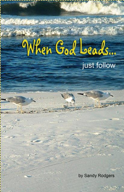When God Leads…just follow, is a book of life lessons and manifestations; stories of success, change and courage.