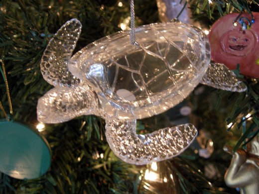 One of my students gave me this ornament as a memory of the Turtle Farm in my native country, Cayman Islands.