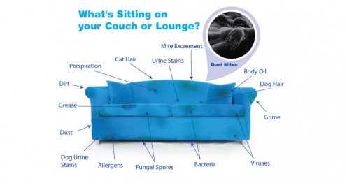 What  Can Possibly Be Sitting On Your Couch?