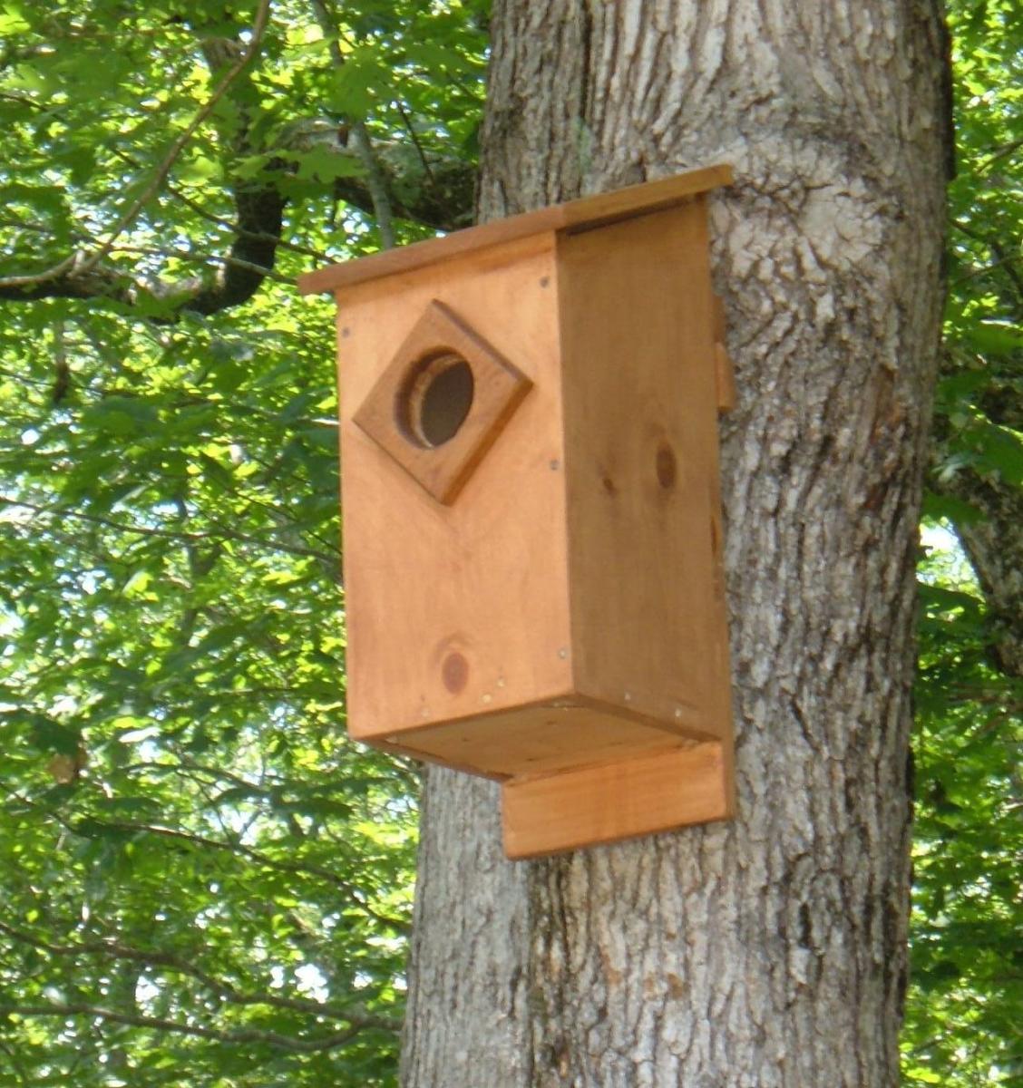Screech Owl House Plans How to Build a Screech Owl Box