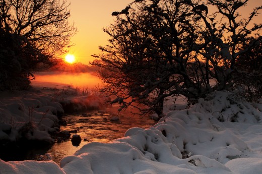 The glistening sun cast a halo of light.
