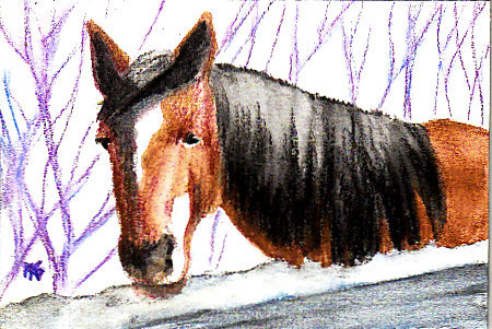 Horse, watercolor pencil, by Robert A. Sloan