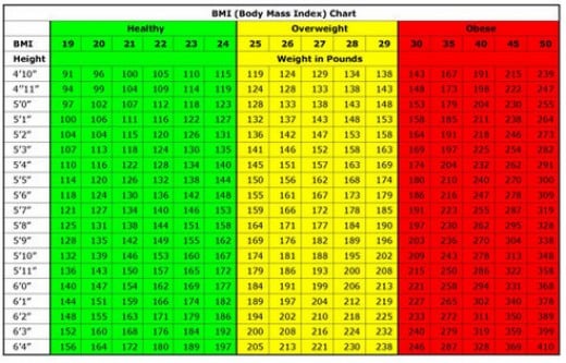 Your BMI and Why it Matters | HubPages