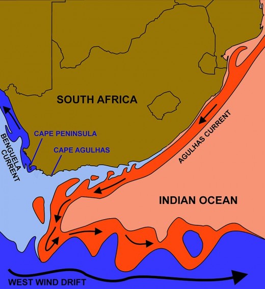 The courses of the warm Agulhas current (red) along the east coast of South Africa, and the cold Benguela current (blue) along the west coast.