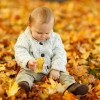 Why Do Leaves Change Color in Autumn?