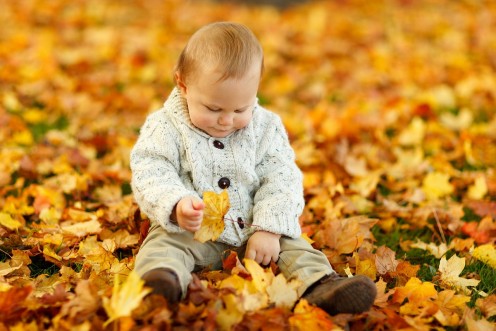 Why Do Leaves Change Color in Autumn? Why Do Leaves Change Color in Autumn?