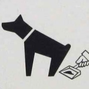 wiffdog profile image