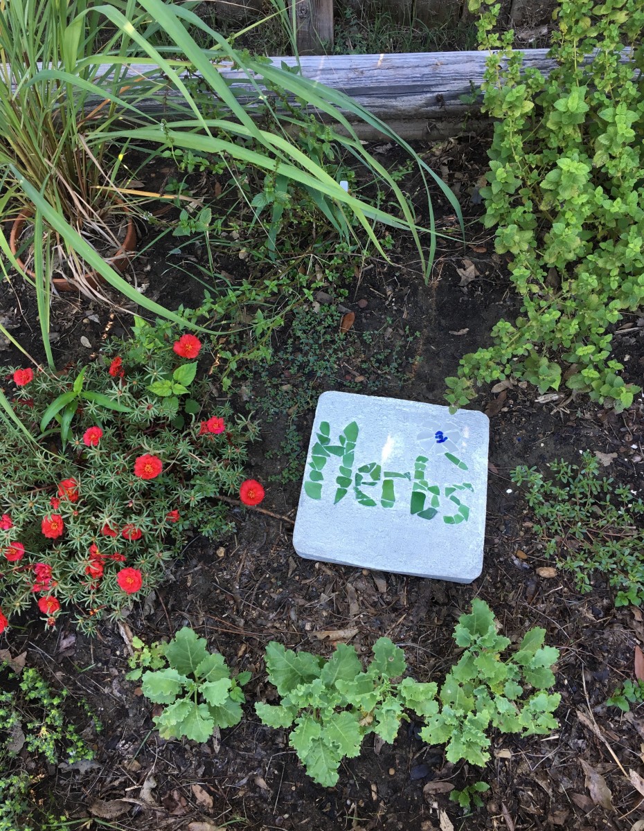 Growing Herbs In Your Garden