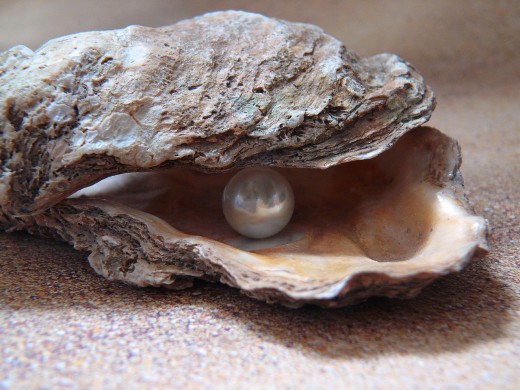 Finding a pearl in an oyster is rare, but it happens!