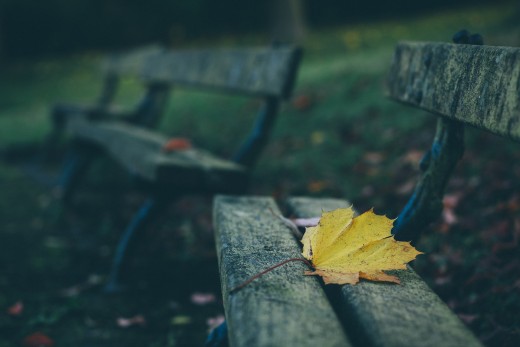 A quiet, peaceful place.