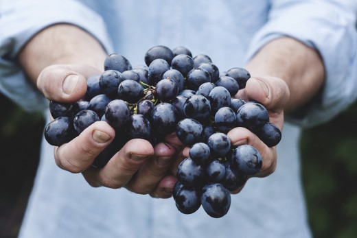 Grapes: full of antioxidants