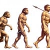 Human Evolution - Why Are There Still Apes?