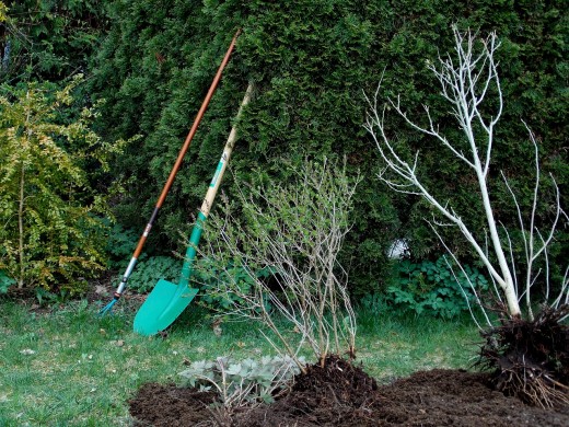 A garden with tools. 