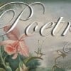 My Love of Poetry and How it Began