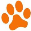 dogfoods profile image