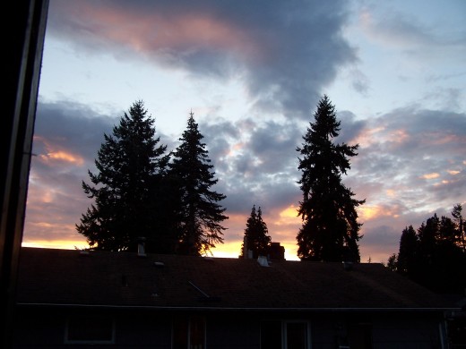 Dawn is my best time for writing. What's yours?