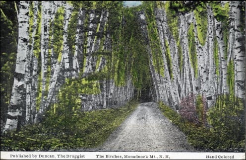 "The Birches", Mount Monadnock, Cheshire County.