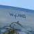Planet Ocean", one of artist (Robert) Wyland's Whaling Walls. At 116,000 square feet , it is the world's largest mural. The mural depicts migratory gray whales life that can be found in the waters off Long Beach. Planet Ocean", one of artist (Robert) Wyland's Whaling Walls. At 116,000 square feet , it is the world's largest mural. The mural depicts migratory gray whales life that can be found in the waters off Long Beach.