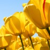 monir574 profile image