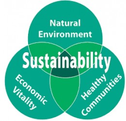 https://usercontent1.hubstatic.com/13399164_f260.jpg