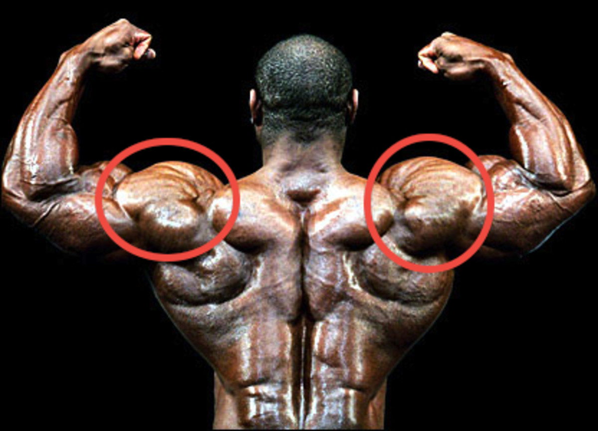 How to Build Big Thick Shoulder Muscles HubPages
