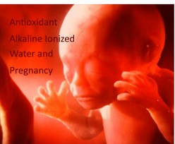Antioxidant Alkaline Ionized  Water And Pregnancy
