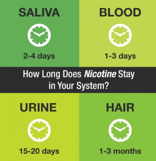 How long does sugar stay in your system?