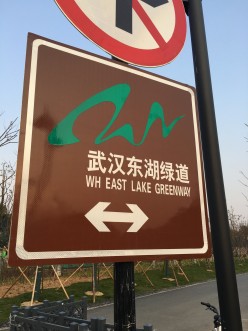 Surprising Stories from Donghu Lake Greenway in Wuhan, China