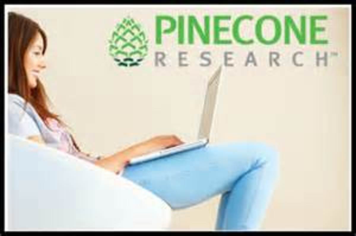 Pinecone Research Review Make Money Online With Surveys