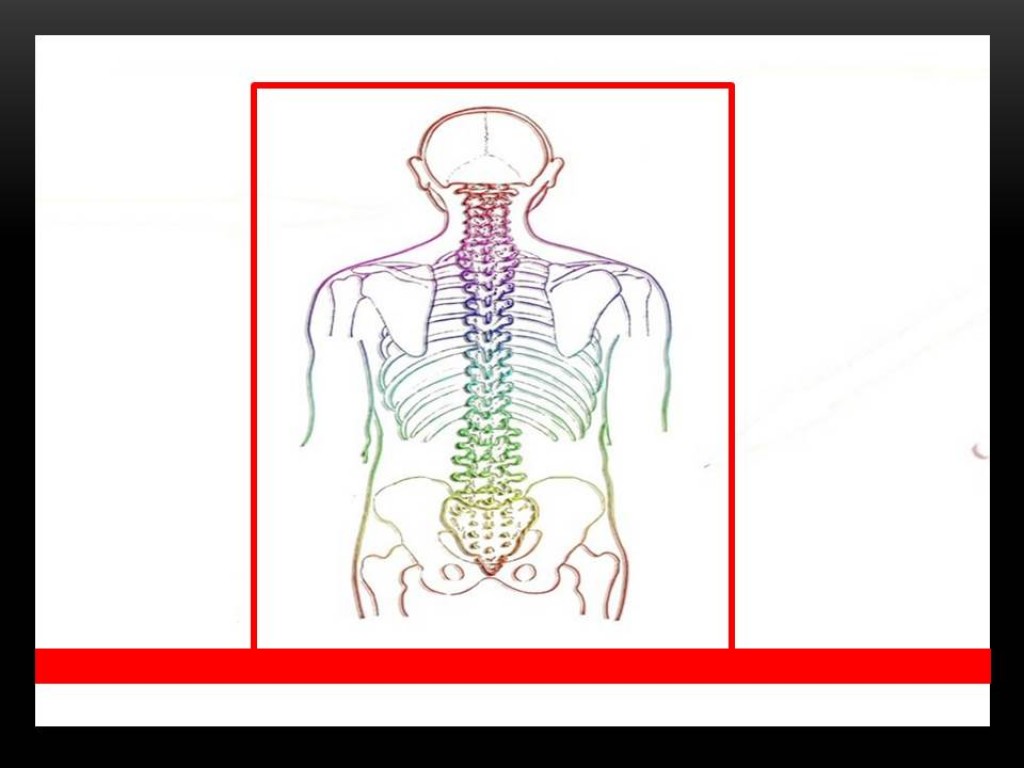 How Can You Know if You Have a Herniated Disc? HubPages