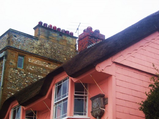 Colorful cottage with thatched rooftop near Lyme Regis, England