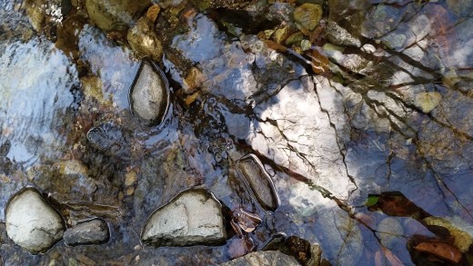 Lovely local creek