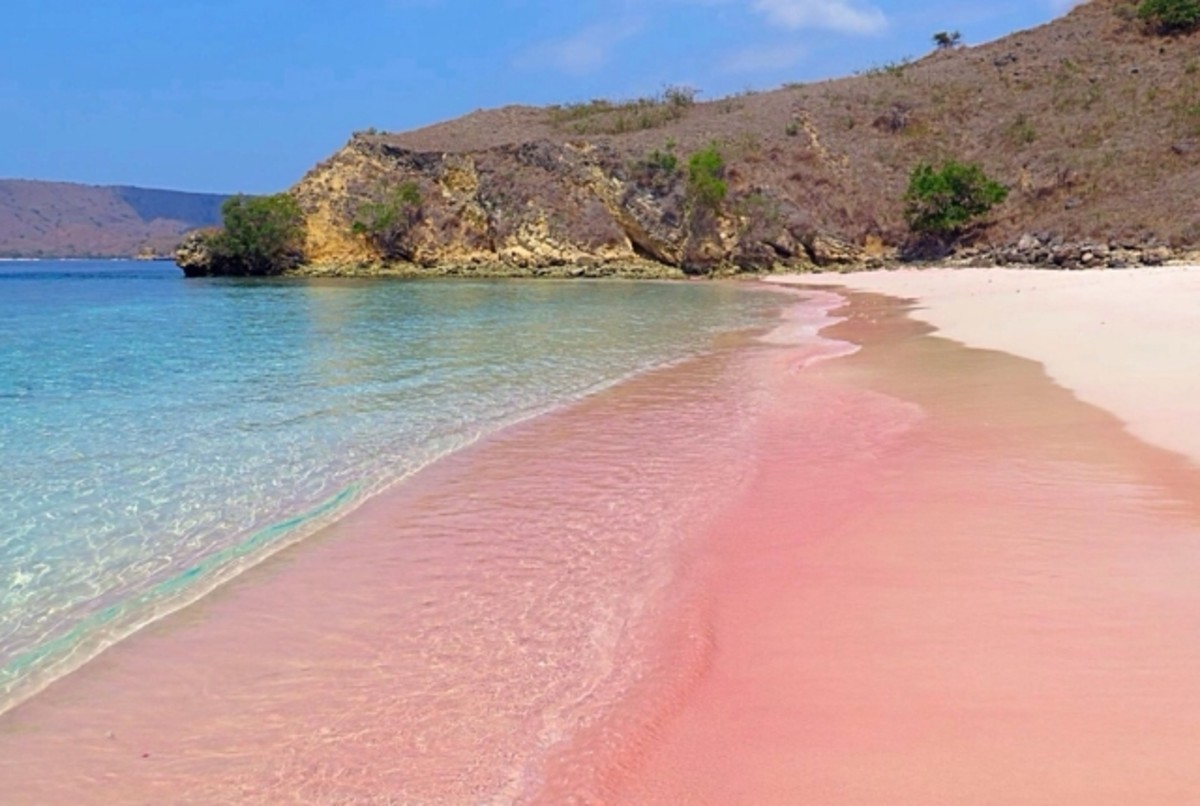 Thisis the pink beach in Sta.Cruz, Zamboanga currently listed as one of the most beautiful pink beaches in the world..
