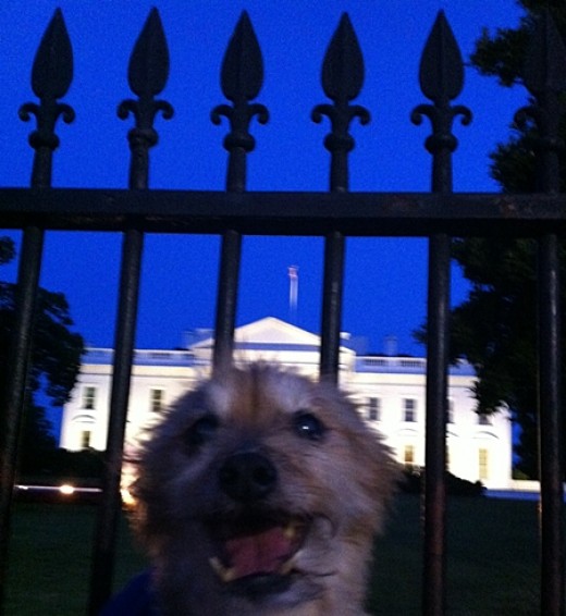 It's time for everyone to fill out their Federal (and State) tax forms!