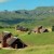Olieviershoek Pass, Kzn, South Africa Olieviershoek Pass, Kzn, South Africa