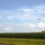 Midlands, KZN, South Africa Midlands, KZN, South Africa