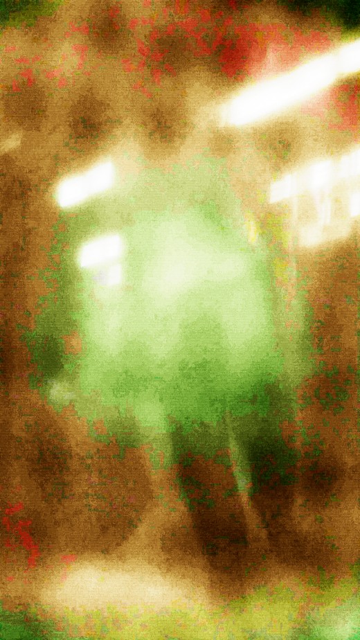 Homemade image intentionally fuzzy