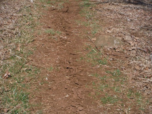 Fairly well maintained trail...early Spring 2014