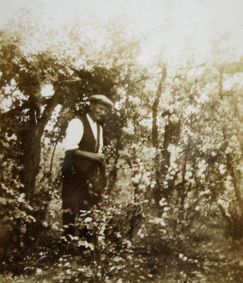 Own Photo