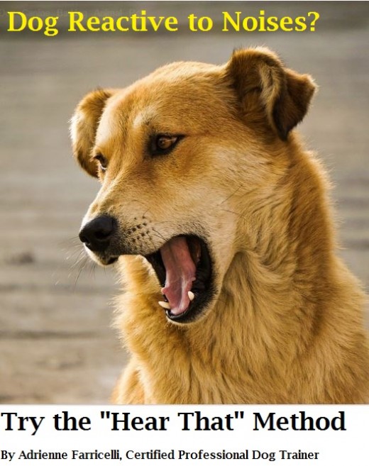 Dog Reactive to Noises? Try the "Hear That" Method. HubPages
