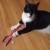 Batcat found an old pacifier clip we thought we'd lost under a couch. Batcat found an old pacifier clip we thought we'd lost under a couch.