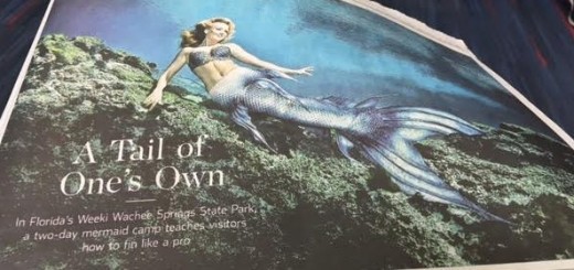 You can learn how to be Weeki Wachi mermaid at a "mermaid camp"