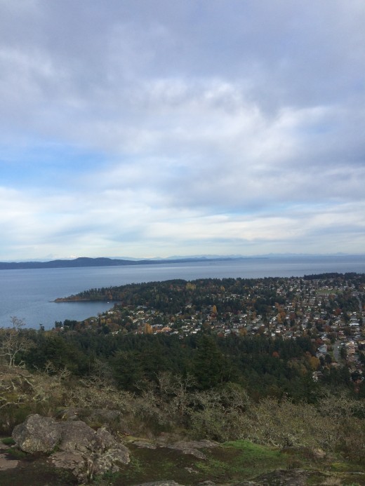 Looking out from the top of Mount Doug. 