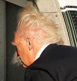 https://usercontent1.hubstatic.com/13454748_f260.jpg