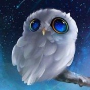 Tammy Jarvis profile image