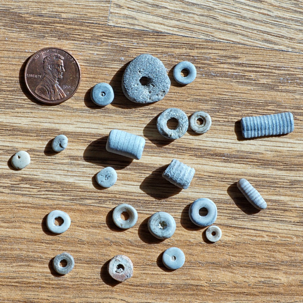 I Found a Fossil on the Beach and Wondered hubpages