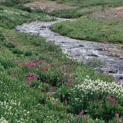 abirkes88 profile image