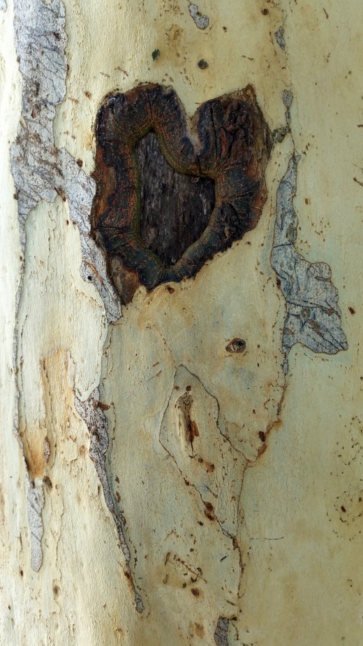Heart-resilient neigbourhood tree